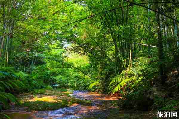 四川宜賓有什么好玩的地方