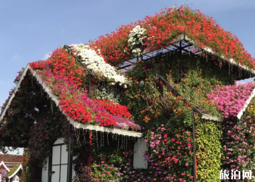 2020年迪拜七日游旅行全攻略