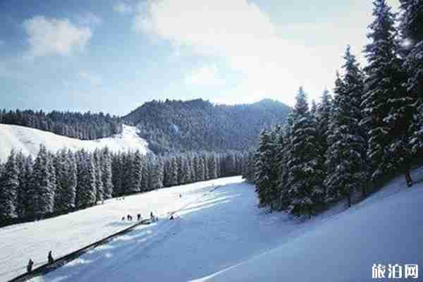 2020新疆跨年活动推荐 2020新疆跨年活动推荐