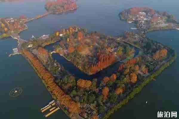 南京跨年2020活动攻略 南京跨年2020活动攻略