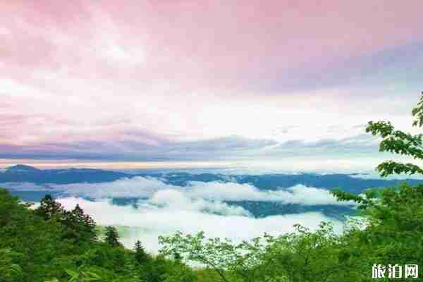 大圍山國家森林公園門票+游玩指南