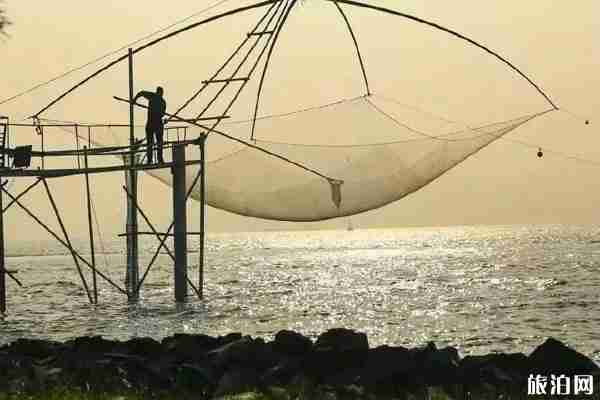 2020长江十年禁渔利弊 中华白鲟宣告灭绝 2020长江十年禁渔利弊 中华白鲟宣告灭绝