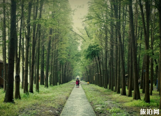 厦门有哪些网红景点 厦门网红景点推荐
