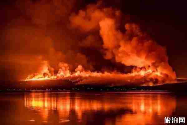 2020澳大利亚山火持续蔓延 2万只考拉死亡 2020澳大利亚山火持续蔓延 2万只考拉死亡