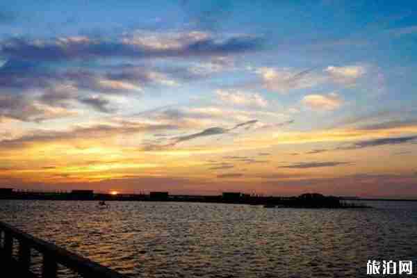 2020上海金山城市沙滩景区春节开放吗