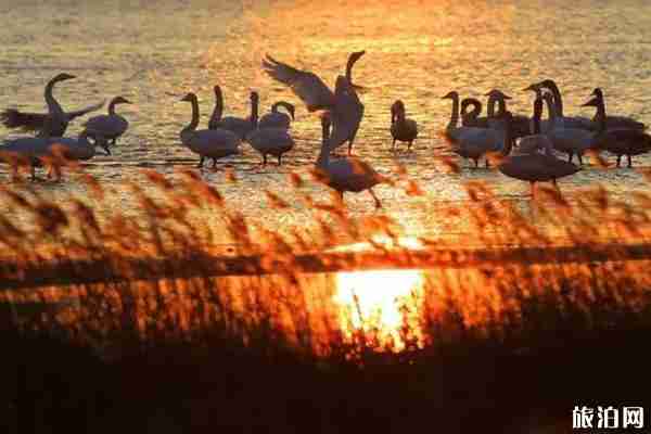 威海冬季旅游攻略