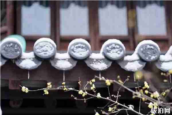 南京哪里有腊梅可以观赏 南京哪里有腊梅可以观赏