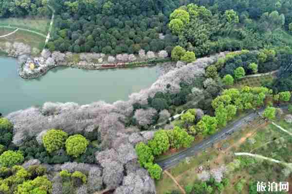 2020年湖南省植物园免费开放时间+年卡退费指南+游玩攻略 2020年湖南省植物园免费开放时间+年卡退费指南+游玩攻略