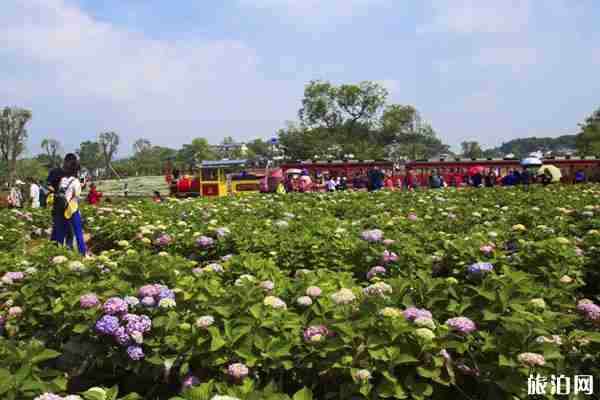 武漢木蘭花鄉(xiāng)好玩嗎 有什么景點
