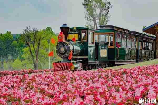 武漢木蘭花鄉(xiāng)好玩嗎 有什么景點