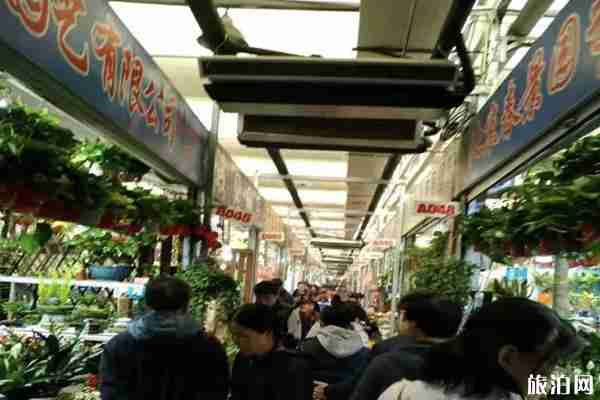北京花市在哪+營業時間 北京花市在哪+營業時間