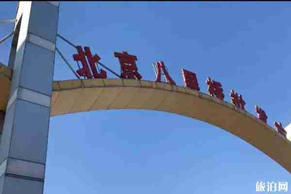 北京花市在哪+營業時間 北京花市在哪+營業時間