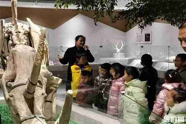 白银市博物馆可以带宠物进去吗 附2020年春节活动安排 白银市博物馆可以带宠物进去吗 附2020年春节活动安排