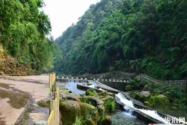 宜宾长宁七洞沟9D玻璃桥门票多少钱