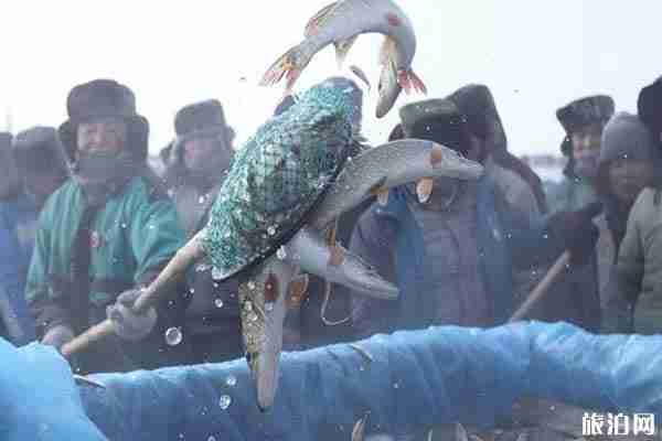 2020年福海冬捕节什么时候 景区优惠政策信息 2020年福海冬捕节什么时候 景区优惠政策信息