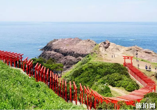 日本有哪些鸟居 地址以及介绍 日本有哪些鸟居 地址以及介绍