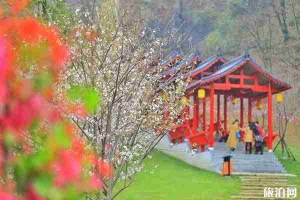 2020年长沙哪些地方会举行庙会活动 时间-地点-电话