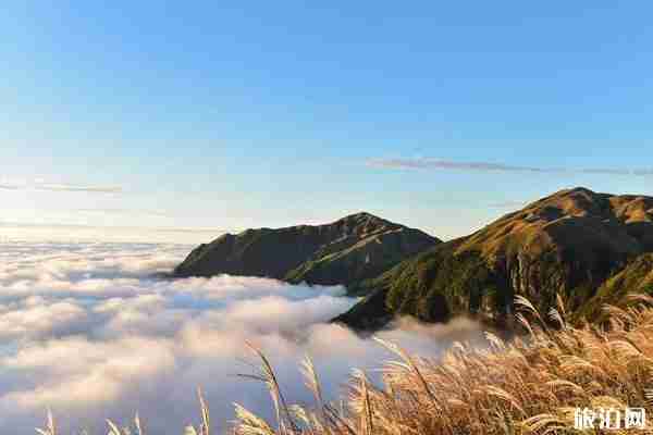 2020武功山寒假免费游玩 免票预约方式