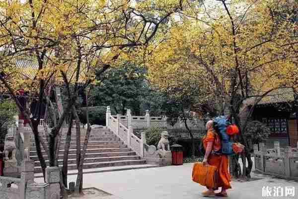 西安哪里可以看梅花 门票和景点推荐 西安哪里可以看梅花 门票和景点推荐