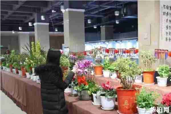 2020年重庆园博园春节活动攻略