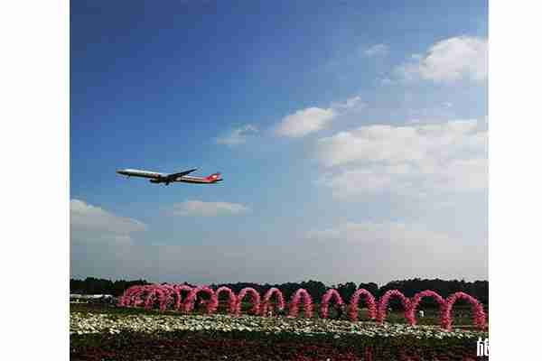 双流空港花田郁金香花节1月25日开启 持续时间-花节内容