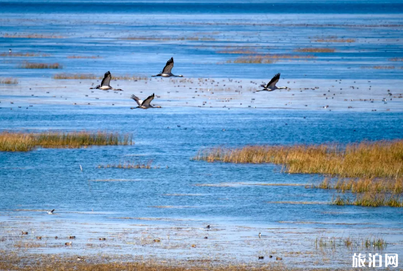 一二月份旅行应该去哪里