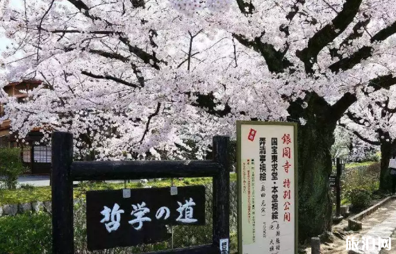 日本樱花观赏地 有哪些小众赏樱地 日本樱花观赏地 有哪些小众赏樱地