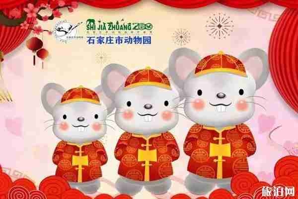 2020石家庄春节活动安排 2020石家庄春节活动安排