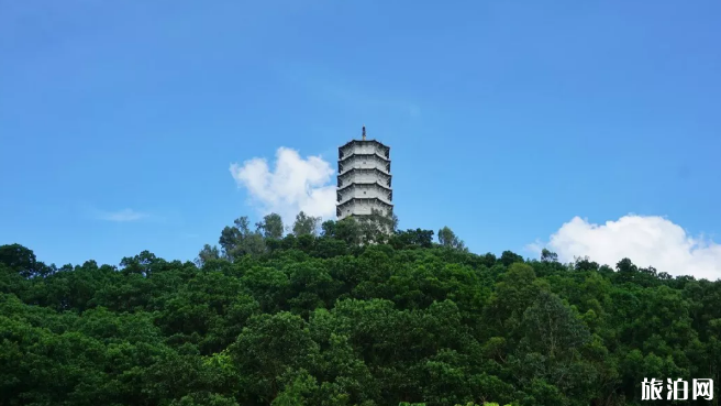 2020春节深圳寺庙活动汇总 时间地点交通管制 2020春节深圳寺庙活动汇总 时间地点交通管制