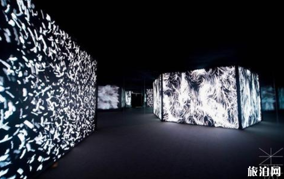 2020成都春节有哪些地方免费的博物馆和艺术展 2020成都春节有哪些地方免费的博物馆和艺术展