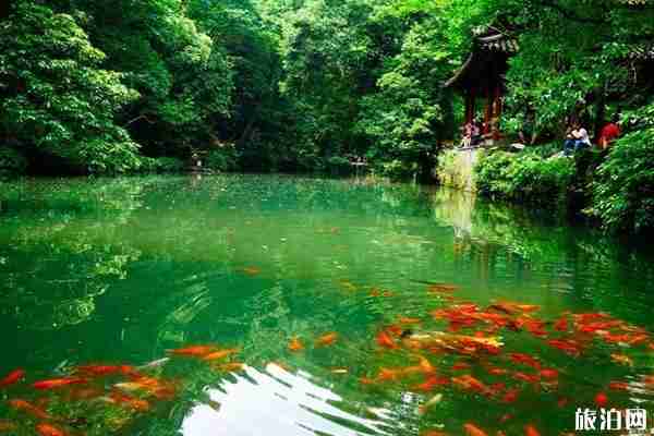 2020杭州灵隐寺春节作息时间表 什么时候开放 2020杭州灵隐寺春节作息时间表 什么时候开放