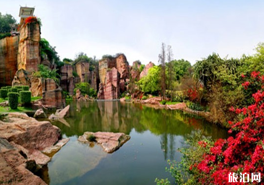 2020年深圳春节应该去哪些地方游玩 2020年深圳春节应该去哪些地方游玩