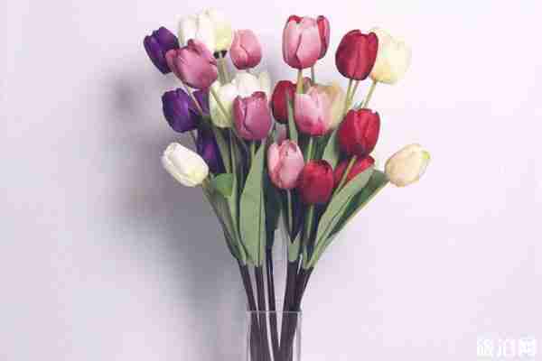 重庆南山植物园现在还有花吗 重庆南山植物园现在还有花吗