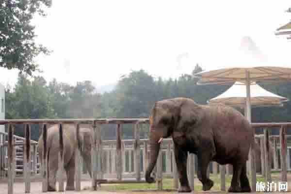 2020年济南春节取消活动和关闭景区整理 2020年济南春节取消活动和关闭景区整理