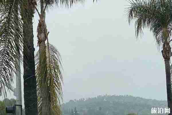 科比意外去世 事故坠机发生现场 科比意外去世 事故坠机发生现场