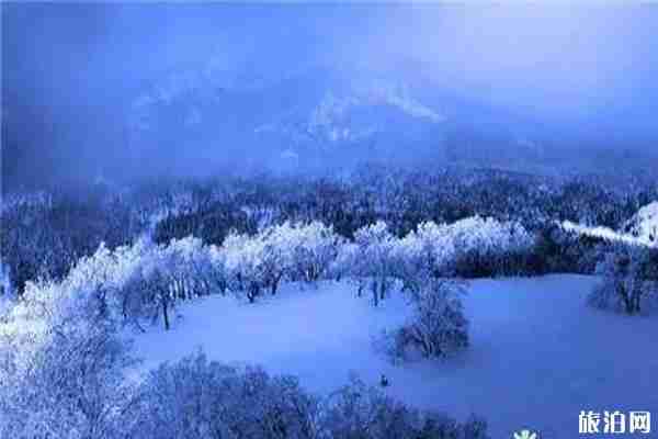 2020黑龙江景区关闭信息整理