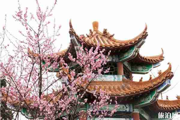 郑州春天赏花的地方推荐 郑州春天赏花攻略