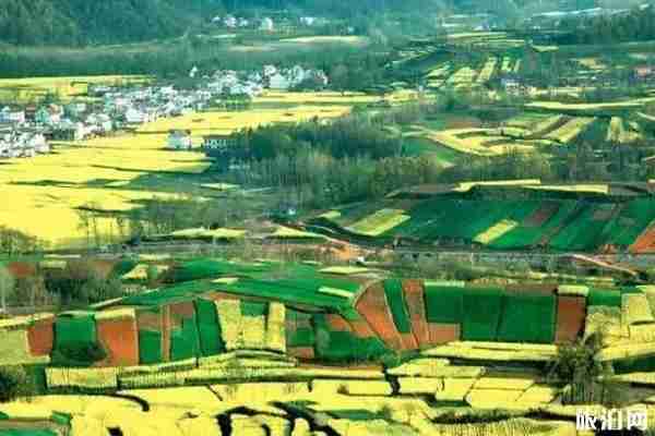 春季陜西賞花景點(diǎn)攻略 春季陜西賞花景點(diǎn)攻略