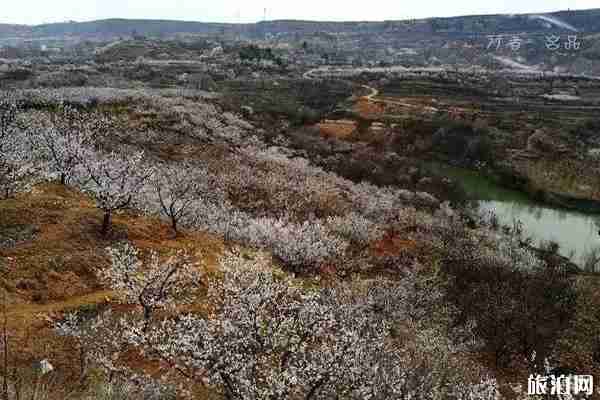 春季陜西賞花景點(diǎn)攻略 春季陜西賞花景點(diǎn)攻略