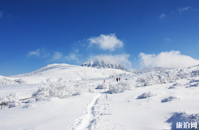 2月起韩国济州岛汉拿山登山预约链接和路线