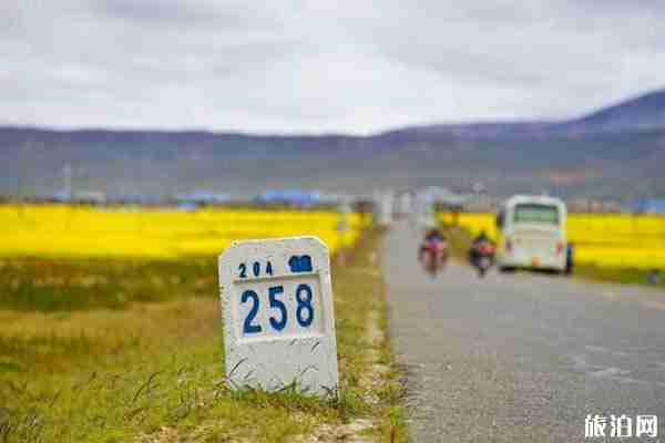 西藏亞東帕里鎮油菜花觀賞
