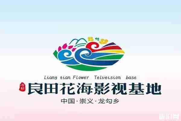 贛州冷杉良田花海影視基地油菜花觀賞 附油菜花節時間