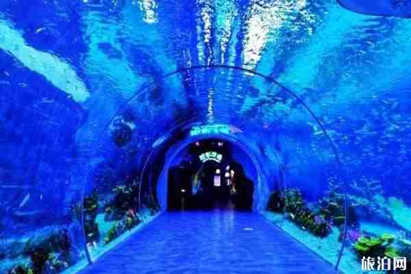 2020上海部分公園對醫務工作者免票信息整理 2020上海部分公園對醫務工作者免票信息整理