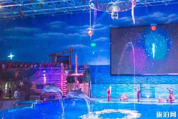 2020大連老虎灘海洋公園對全國醫護人員免票和旅游攻略 2020大連老虎灘海洋公園對全國醫護人員免票和旅游攻略