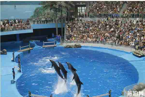 2020成都海昌極地海洋公園對全國醫務工作者免票和攻略信息