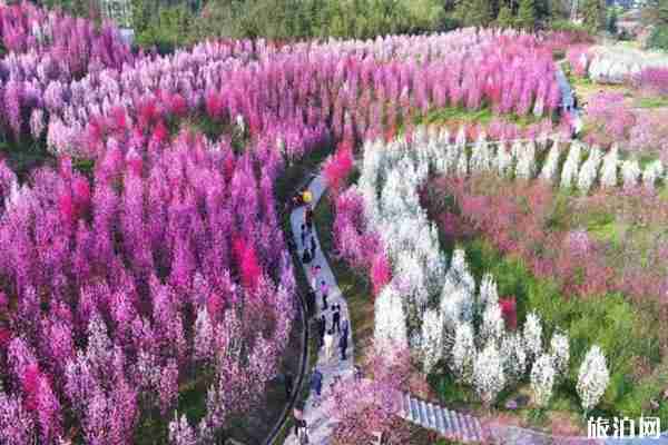 2020湖南對全國醫(yī)護工作者免費的景區(qū)整理