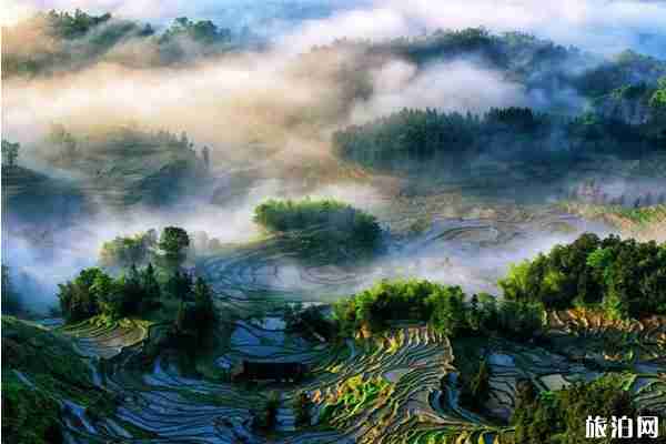 2020湖南對全國醫(yī)護工作者免費的景區(qū)整理