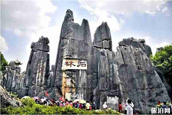 2020昆明公交恢復了嗎和景區對全國醫護人員免費的時間