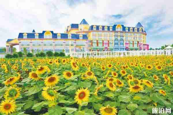 2020廣州百萬葵園對全體醫護人員免費開放