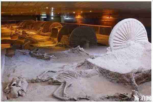 2020臨淄旅游景區對全國醫護人員免費和景區介紹